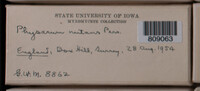 Image Associated With the Occurrence